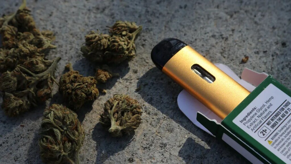 An eye-level, close-up shot of a gold-colored vape pen partially in its packaging, lying on a concrete surface. To the left of the vape pen, several dried cannabis buds are scattered. The open packaging reveals text on the side, including a list of ingredients such as "Propylene Glycol, Hemp Extract, Natural and Artificial Flavors" and a warning that the product is "NOT INTENDED FOR THOSE UNDER THE AGE OF 21."