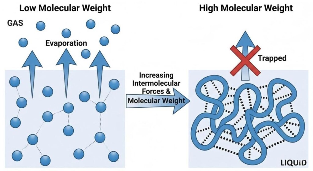 A scientific diagram comparing how low molecular weight particles easily evaporate while high molecular weight chains are trapped by strong intermolecular forces.
