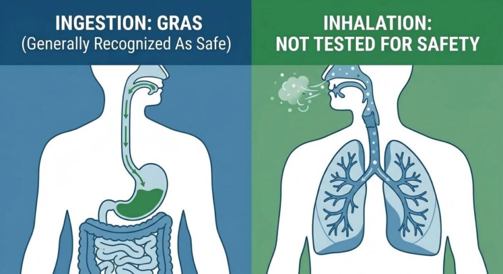 A corporate infographic explaining the difference between Generally Recognized As Safe (GRAS) ingestion (digestive system) and inhalation vaping particles (respiratory system), highlighting tested safety differences.